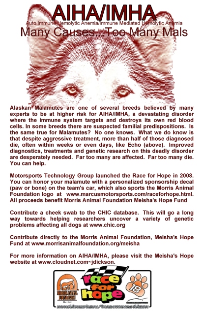 Alaskan Malamutes - Auto Immune Hemolytic Anemia / Immune Mediated Hemolytic Anemia