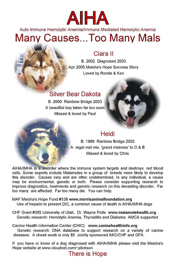 Alaskan Malamutes - Auto Immune Hemolytic Anemia / Immune Mediated Hemolytic Anemia