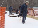 Canine Weight Pull