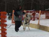 Canine Weight Pull