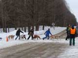 Canine Weight Pull
