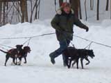 Canine Weight Pull