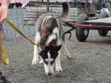 DSC00529t.jpg