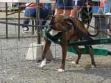 DSC00537t.jpg