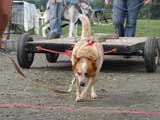 DSC00539t.jpg