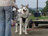 DSC00540t.jpg