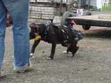 DSC00542t.jpg