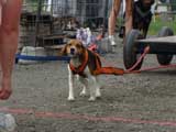 DSC00545t.jpg