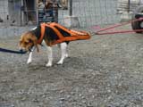 DSC00546t.jpg