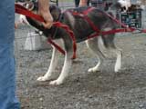 DSC00552t.jpg