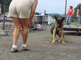 DSC00558t.jpg