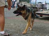 DSC00559t.jpg