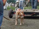 DSC00560t.jpg