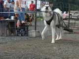 DSC00562t.jpg