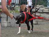 DSC00565t.jpg