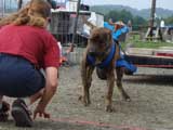 DSC00572t.jpg