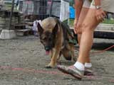 DSC00575t.jpg