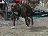 DSC00576t.jpg
