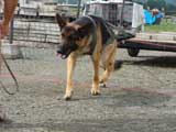 DSC00577t.jpg