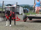 DSC00581t.jpg