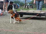 DSC00582t.jpg