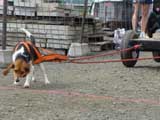 DSC00584t.jpg