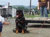 DSC00585t.jpg