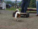 DSC00588t.jpg