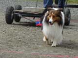 DSC00591t.jpg