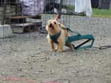 DSC00593t.jpg