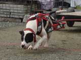 DSC00598t.jpg