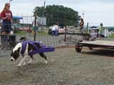 DSC00601t.jpg