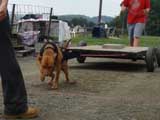 DSC00611t.jpg