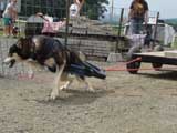 DSC00612t.jpg