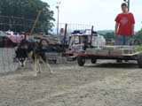 DSC00614t.jpg
