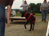 DSC00617t.jpg