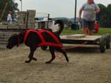 DSC00621t.jpg