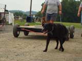 DSC00623t.jpg