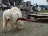 DSC00625t.jpg