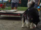 DSC00632t.jpg