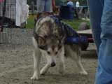 DSC00635t.jpg