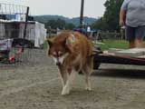 DSC00636t.jpg
