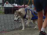 DSC00639t.jpg