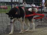DSC00648t.jpg