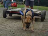 DSC00650t.jpg