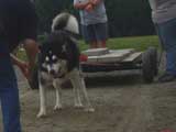 DSC00652t.jpg