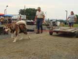 DSC00657t.jpg