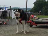 DSC00664t.jpg
