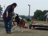 DSC00665t.jpg