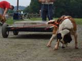DSC00667t.jpg